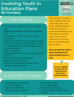 Involving Youth in Education Plans (for Providers)
