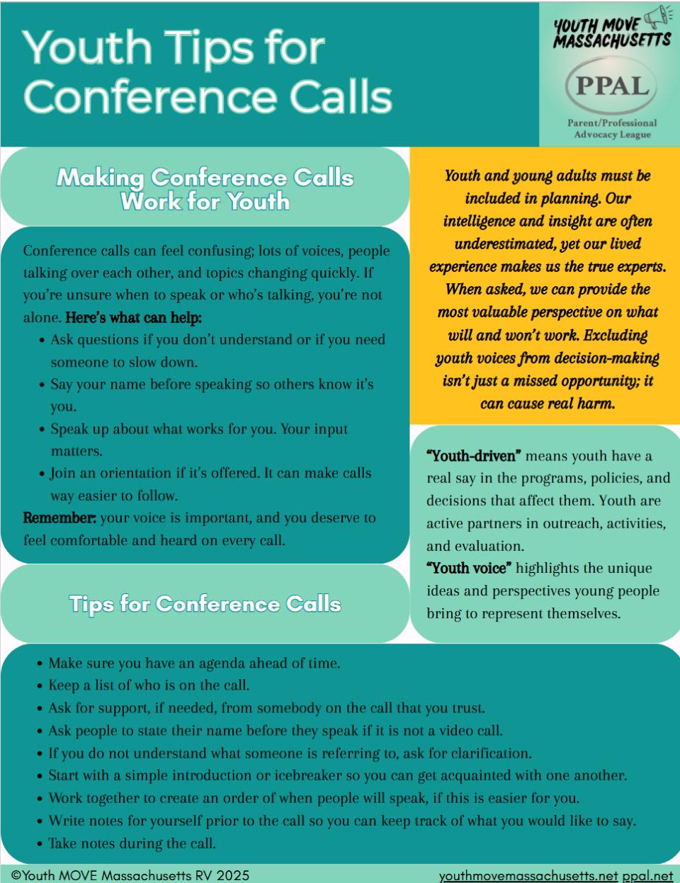 Youth Tips for Conference Calls